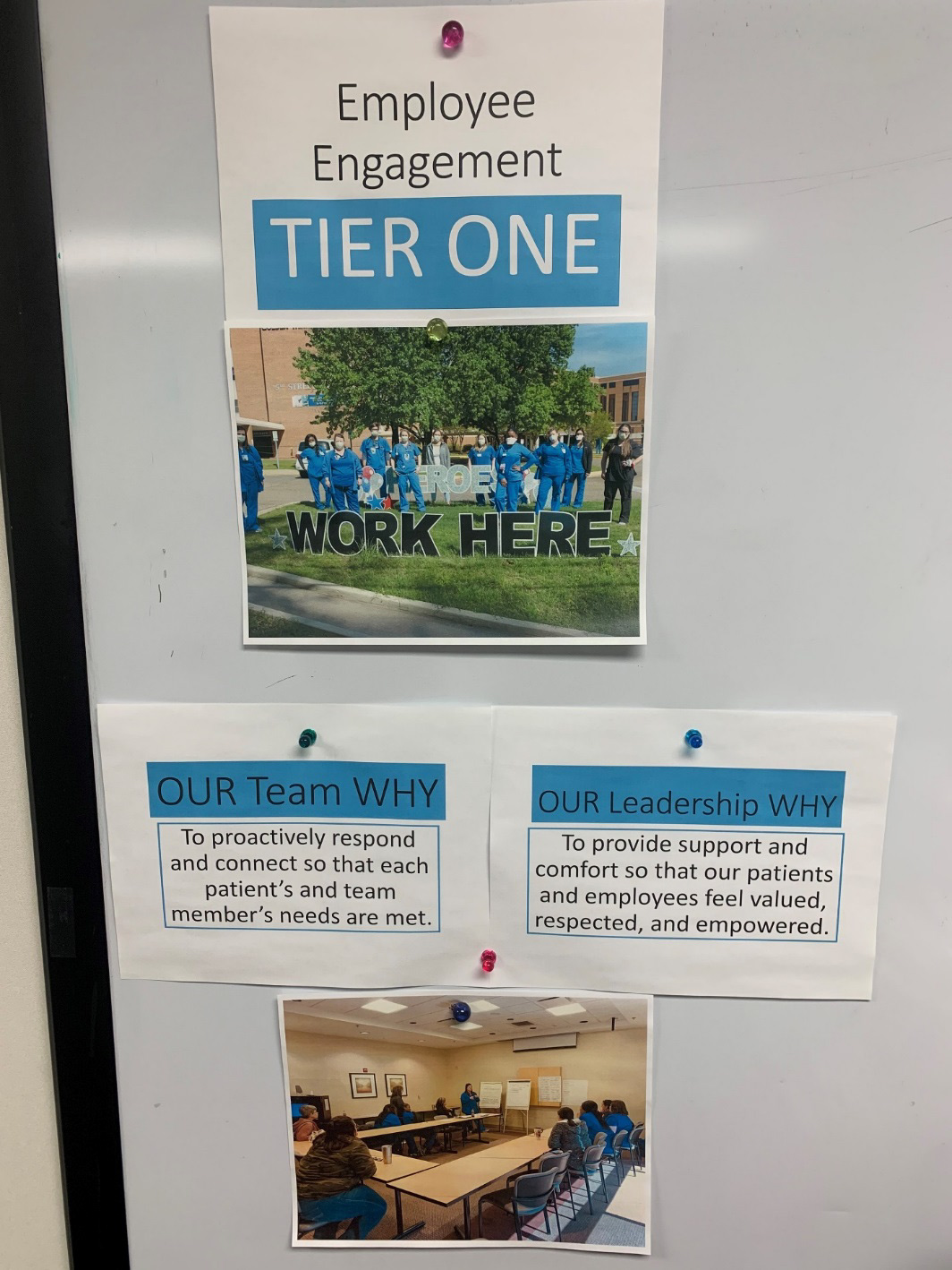 Lauri-Sansing-Golden-Triangle