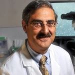 William H. Kutteh, M.D., Ph.D.